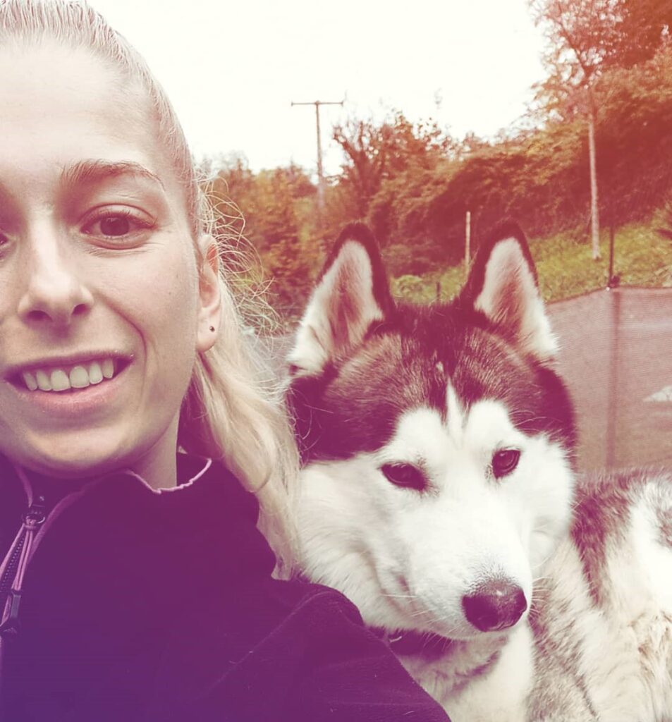 dog sitting