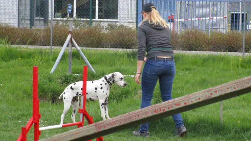agility