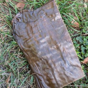 Plaque de peau de cheval